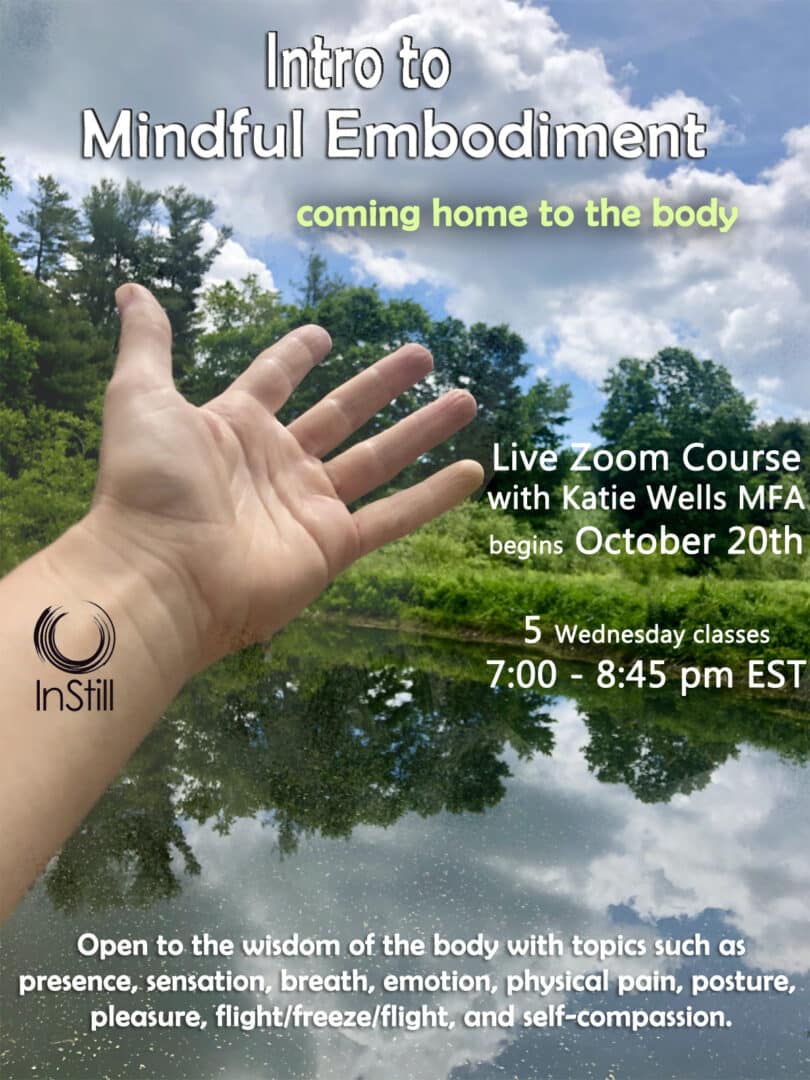 Intro to Mindful Embodiment