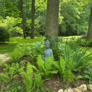 Goddess Retreat Camping, Couch Surfing & Commuting