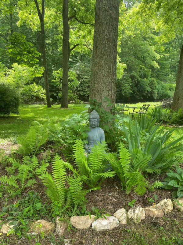 Goddess Retreat Camping, Couch Surfing & Commuting